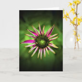 Conefloer, kaart (Gele Bloem)