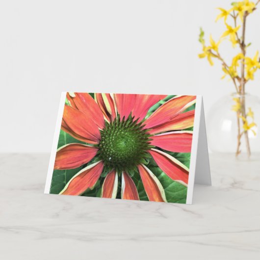 Conefloer, kaart (Gele Bloem)