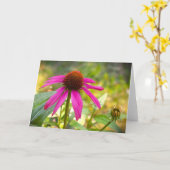 Conefloer, kaart (Gele Bloem)