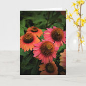 Conefloer, kaart (Gele Bloem)