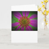 Conefloer, kaart (Gele Bloem)