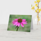 Conefloer, kaart (Gele Bloem)