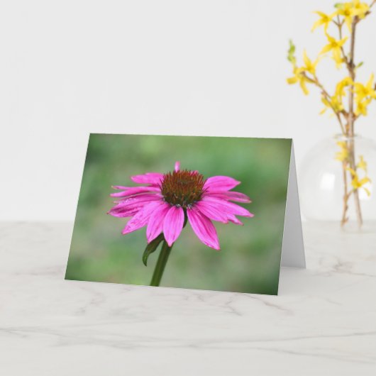Conefloer, kaart (Gele Bloem)