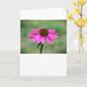 Conefloer, kaart (Gele Bloem)