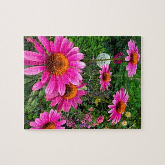 Conefloer Legpuzzel (Horizontaal)