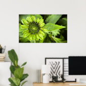 Conefloer, Poster (Thuiskantoor)