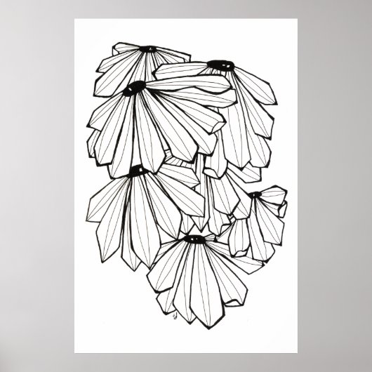 Conefloer Poster (Voorkant)