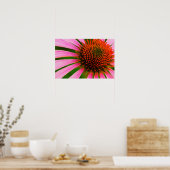 Conefloer Poster (Keuken)