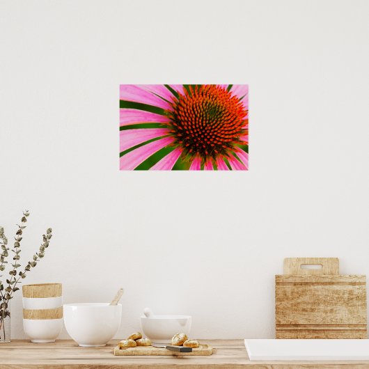 Conefloer Poster (Keuken)