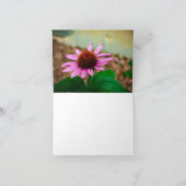 Coneflower Beauty Bedankkaart (Binnen)