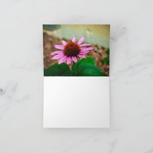 Coneflower Beauty Bedankkaart (Binnen)