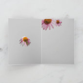 Coneflower bedankt (Binnen)