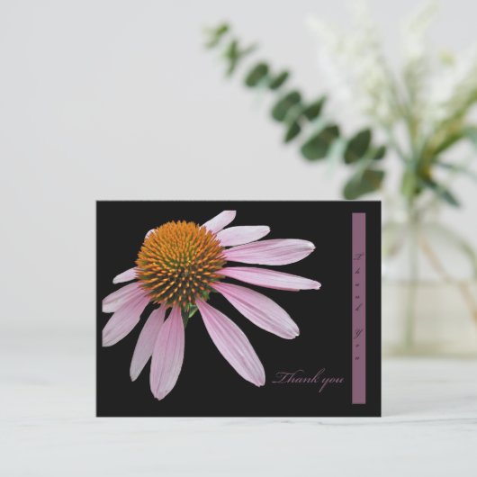 Coneflower bedankt briefkaart (Staand voorkant)