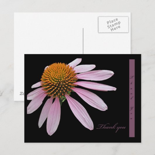 Coneflower bedankt briefkaart (Voorkant / Achterkant)