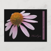Coneflower bedankt briefkaart (Voorkant)