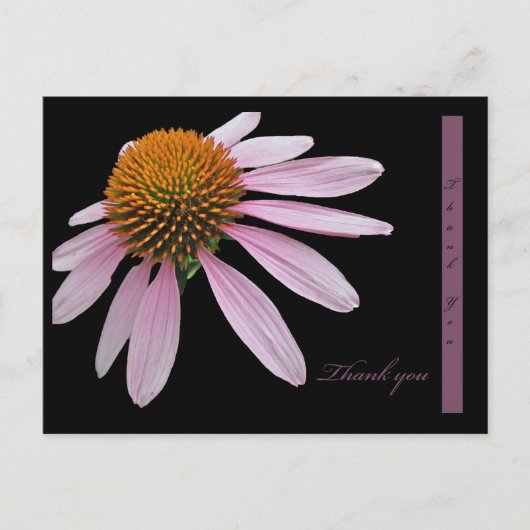 Coneflower bedankt briefkaart (Voorkant)