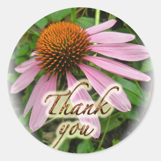 Coneflower bedankt je gecoördineerde objecten ronde sticker (Voorkant)