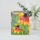 Coneflower Briefkaart (Staand voorkant)