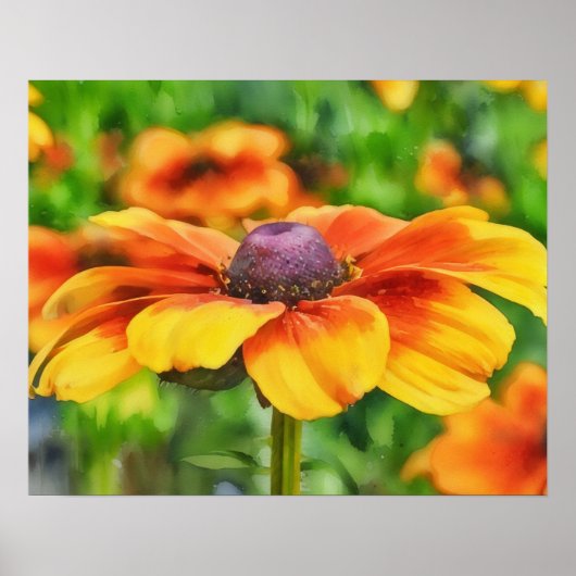 Coneflower Bright Wildflower Waterverf Style Art Poster (Voorkant)