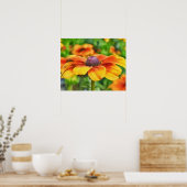 Coneflower Bright Wildflower Waterverf Style Art Poster (Keuken)
