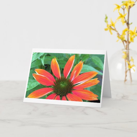 Coneflower, card kaart (Gele Bloem)