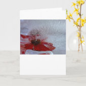 Coneflower in Ice, Kaart (Gele Bloem)