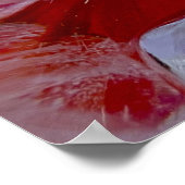 Coneflower in Ice, Poster (Hoek)