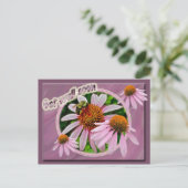 Coneflower krijgt snel weer goed briefkaart (Staand voorkant)