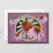 Coneflower krijgt snel weer goed briefkaart (Voorkant / Achterkant)