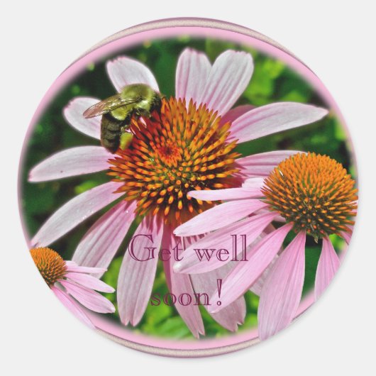 Coneflower krijgt snel weer goed ronde sticker (Voorkant)