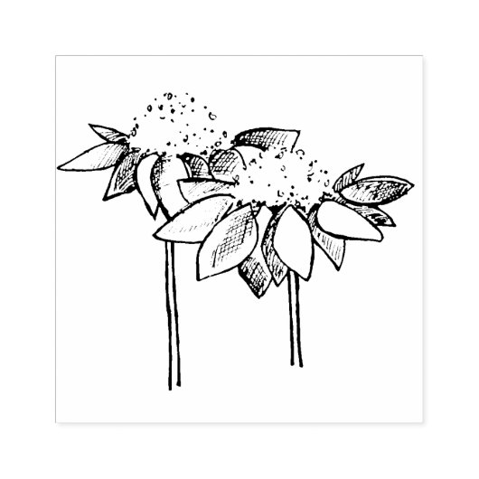Coneflower Line Drawing Rubberstempel (Afrduk)