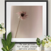 ConeFlower Poster