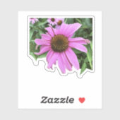 Coneflower roze paarse madeliefbloem met bladeren sticker (Vel)