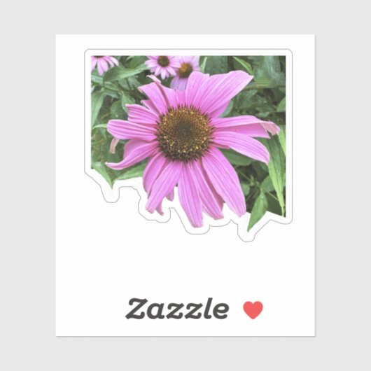Coneflower roze paarse madeliefbloem met bladeren sticker (Vel)