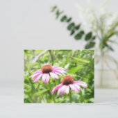 Coneflower Twins Briefkaart (Staand voorkant)