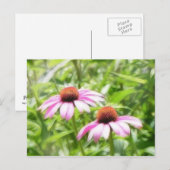 Coneflower Twins Briefkaart (Voorkant / Achterkant)
