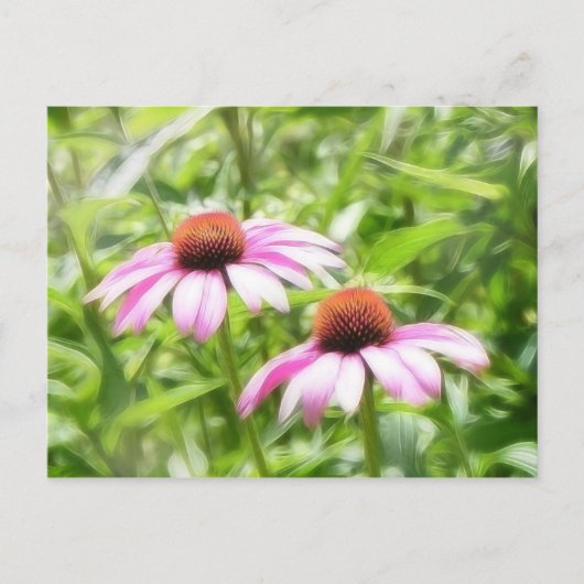 Coneflower Twins Briefkaart (Voorkant)