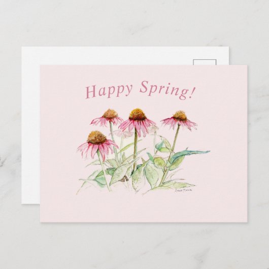 Coneflowers Briefkaart (Voorkant / Achterkant)