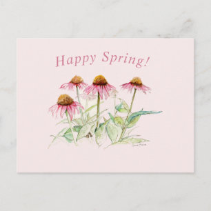 Coneflowers Briefkaart
