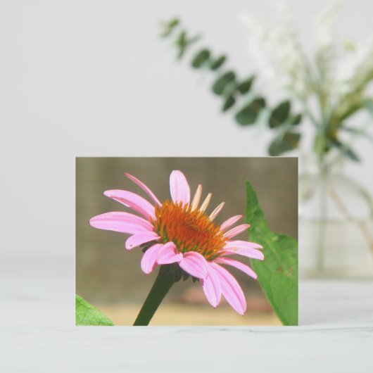 Coneflowers Briefkaart (Staand voorkant)