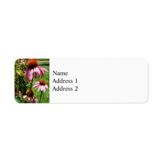 Coneflowers in de tuin etiket (Voorkant)