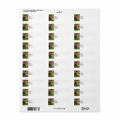 Coneflowers in de tuin etiket (Full Sheet)