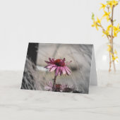 Coneflowers Kaart (Gele Bloem)