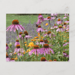 Coneflowers & Kleurrijke Wildflowers DIY Briefkaar Feestdagenkaart