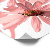 ConeFlowers Poster (Hoek)