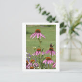 Coneflowers & Red Admiral Butterfly DIY Briefkaart (Staand voorkant)