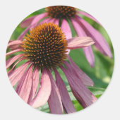 Coneflowers Ronde Sticker (Voorkant)