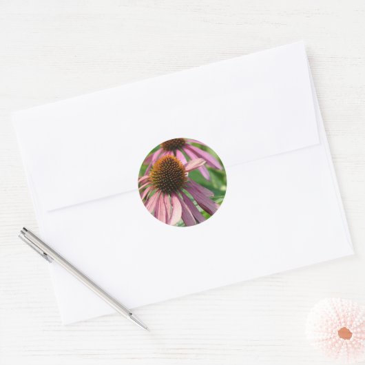 Coneflowers Ronde Sticker (Envelop)