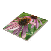 Coneflowers Tegeltje (Zijkant)