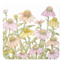 Coneflowers Waterverf Botanische Kunstvierkant Sti